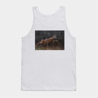 Into the Woods - White-tailed Deer Tank Top